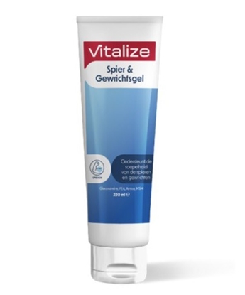 VITALIZE SPIER  GEWRICHTSGEL 200 ML